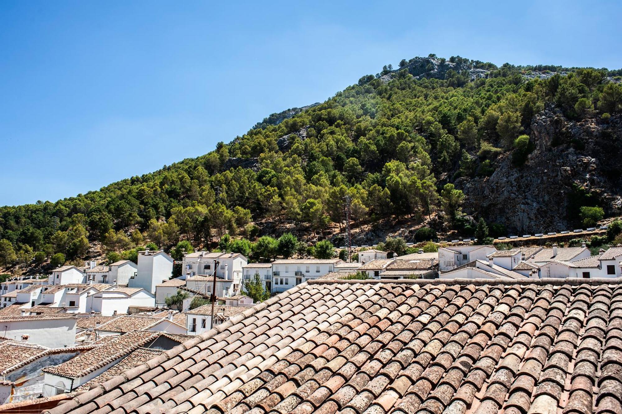 Casa Rural San Jose Grazalema Eksteriør billede