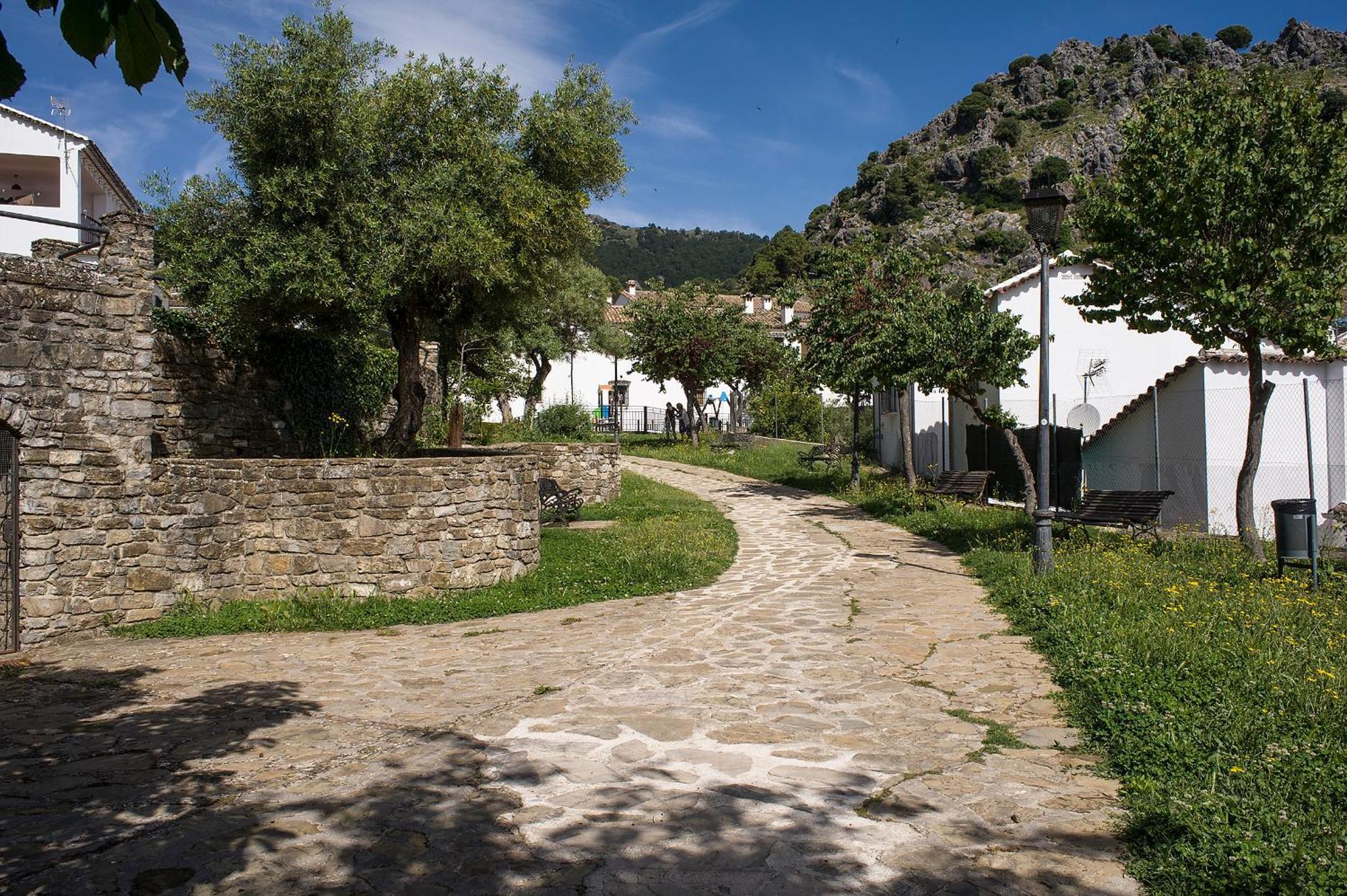 Casa Rural San Jose Grazalema Eksteriør billede